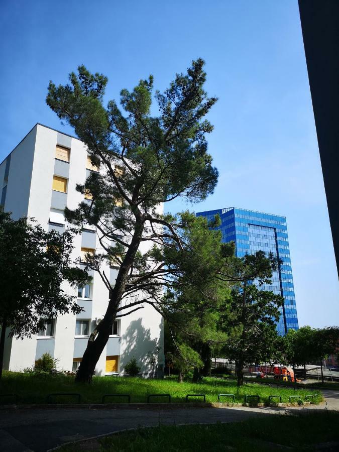 Apartment Gervais רייקה מראה חיצוני תמונה